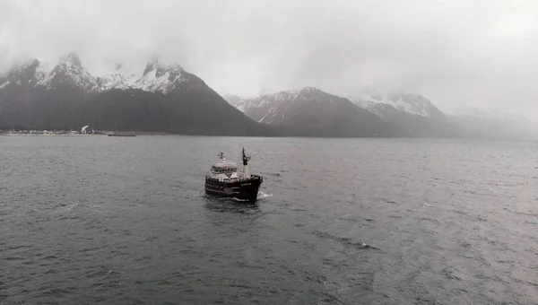 Коммерческие Палтусы Аляске — стоковое фото