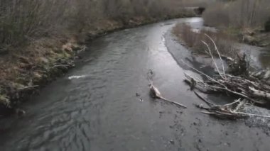 Seward Alaska Salmon Creek alanı 