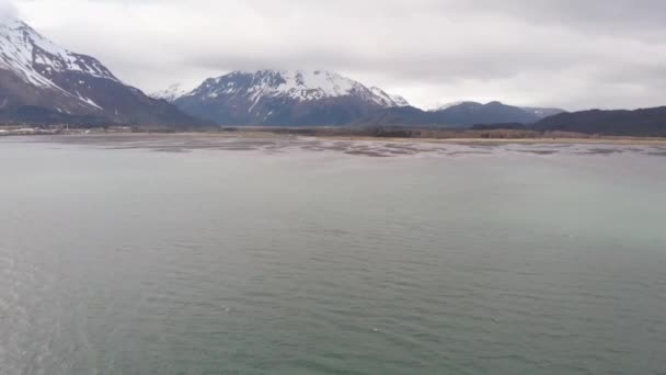 Resurrection Bay Seward Alaska — Stockvideo