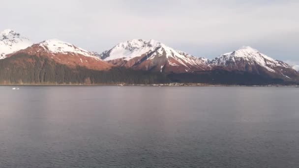 Resurrection Bay Seward Alaska — Stockvideo