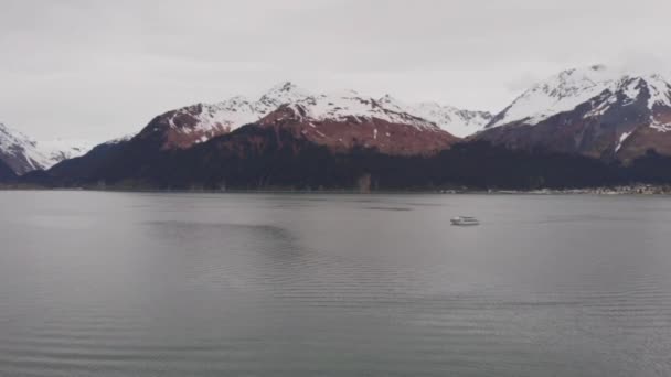 Resurrection Bay Seward Alaska — Stockvideo