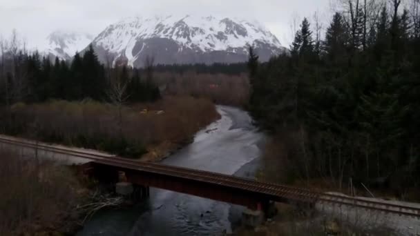 Zona Salmon Creek Seward Alaska — Vídeo de stock