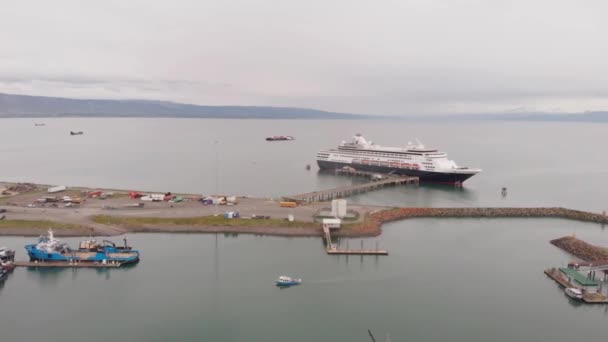 Broche Occupée Dans Homer Alaska — Video