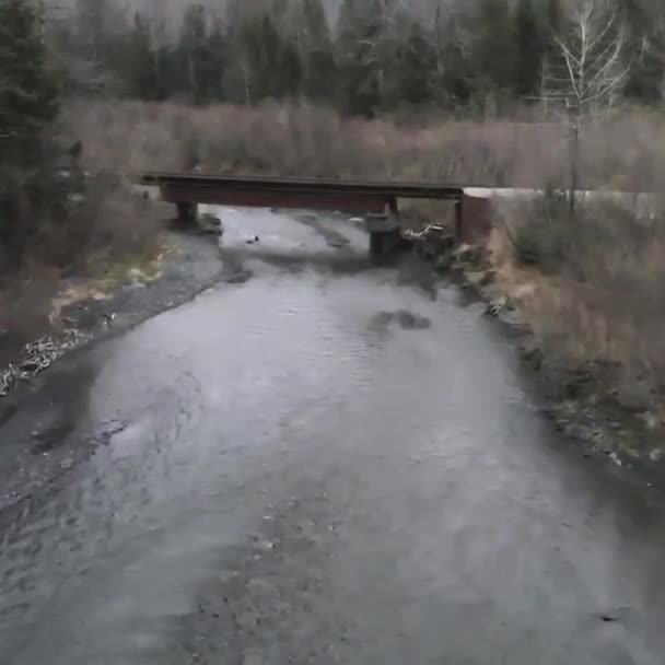 Lososový Potok Sewarské Aljašce — Stock video
