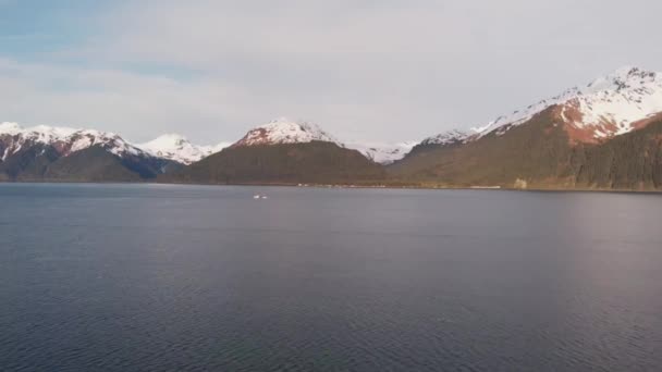 Baía Ressurreição Seward Alaska — Vídeo de Stock