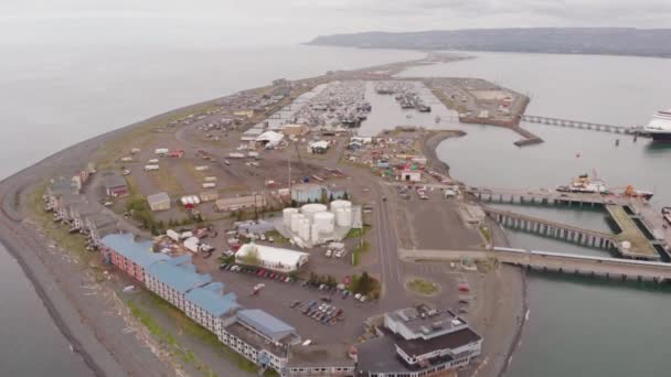 Зайнятий Коса Гомер Аляска — стокове відео