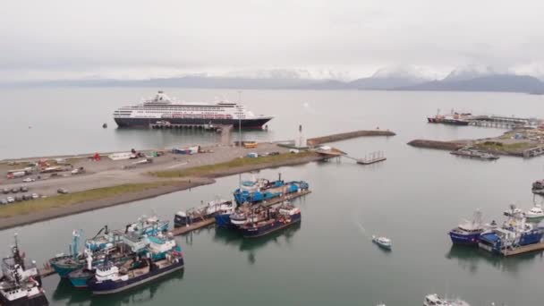 Зайнятий Коса Гомер Аляска — стокове відео