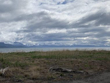 Homer Alaska'daki Kachemak koyu'ndan manzaralar 