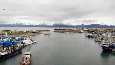 Homer Alaska'daki Kachemak koyu'ndan manzaralar 