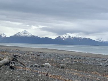 Homer Alaska'daki Kachemak koyu'ndan manzaralar 