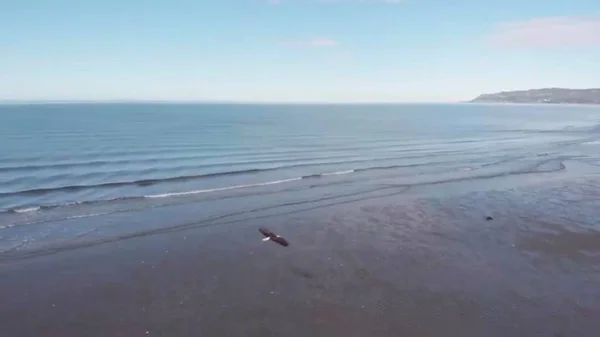 Homer Alaska Daki Kachemak Koyu Ndan Manzaralar — Stok fotoğraf