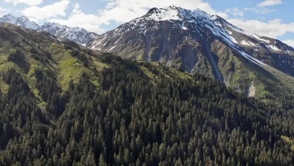 Falésias Montanhas Topo Perto Seward Alaska — Fotografia de Stock