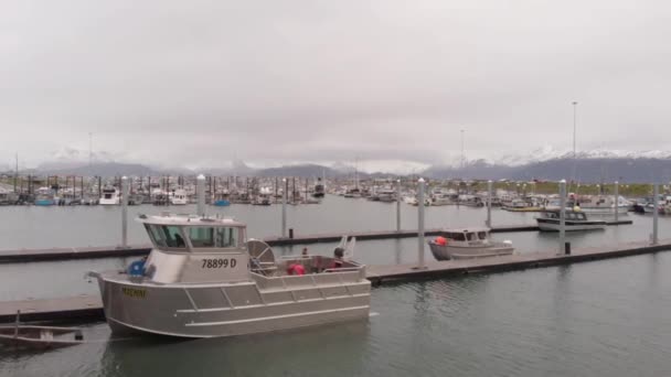 Utsikt Över Hamnen Från Homer Alaska — Stockvideo