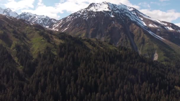 Seward Alaska Dağının Iyi Manzaraları — Stok video
