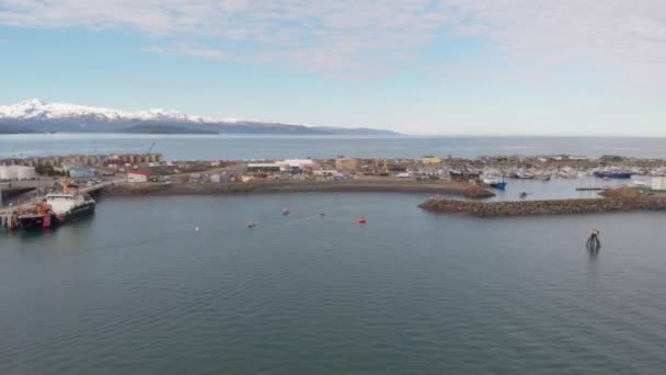 Hafenblick Von Homer Alaska — Stockvideo