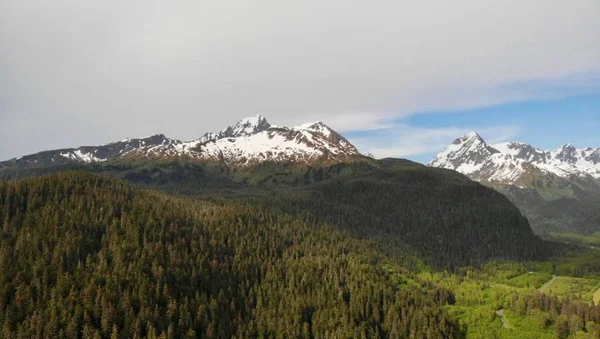 Seward Alaska 'dan bahar manzarası 