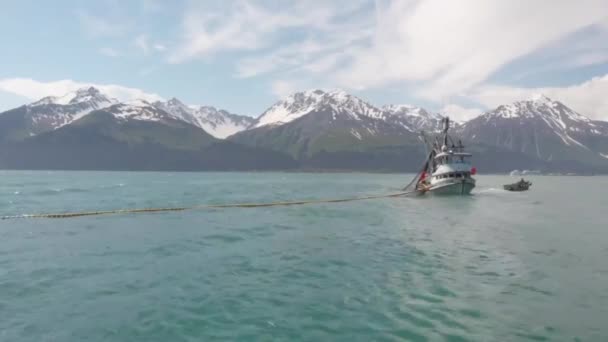 Pescador Comercial Salmão Que Trabalha Alasca — Vídeo de Stock