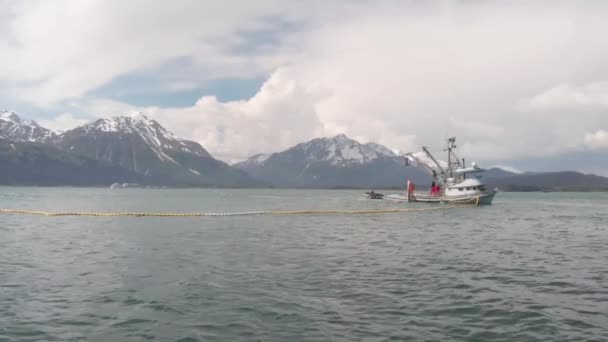 Pêcheur Commercial Saumon Travaillant Alaska — Video