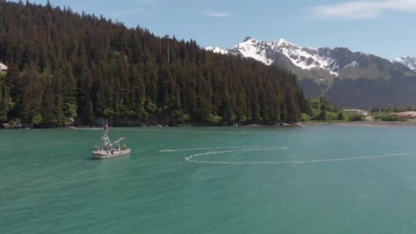 Pescador Salmón Comercial Que Trabaja Alaska — Vídeos de Stock