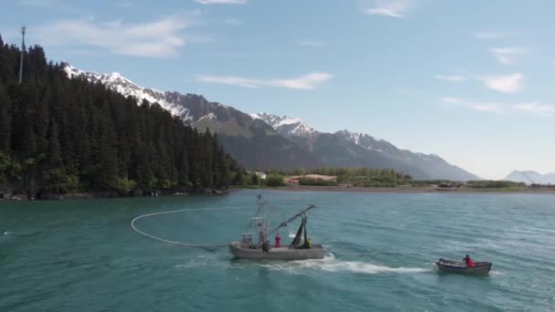 Pêcheur Commercial Saumon Travaillant Alaska — Video