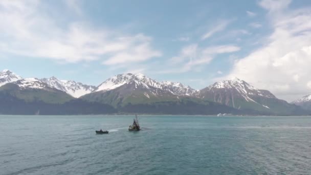 Commerciële Zalmvisser Werken Alaska — Stockvideo