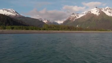 Alaska 'da çalışan ticari somon balıkçı 