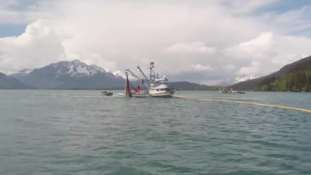 Pescador Salmón Comercial Que Trabaja Alaska — Vídeo de stock