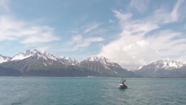 Commercial Salmon Fisherman Working Alaska — Stock Video