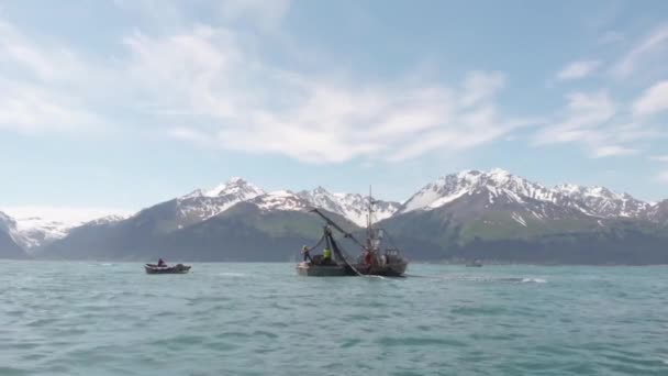 Коммерческий Лосось Работающий Аляске — стоковое видео