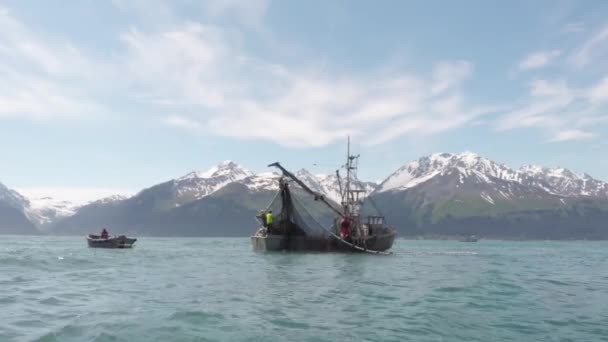 Pescador Comercial Salmão Que Trabalha Alasca — Vídeo de Stock