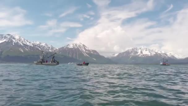 Pescador Salmón Comercial Que Trabaja Alaska — Vídeos de Stock