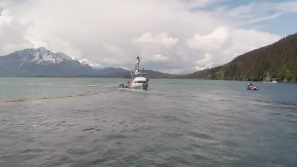 Pêcheur Commercial Saumon Travaillant Alaska — Video