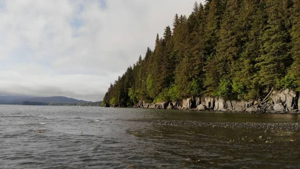 Alaska'nın Chugach dağlarından manzara 