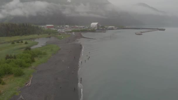 Alaskans Line Het Strand Verblijf Vissen Zalm — Stockvideo