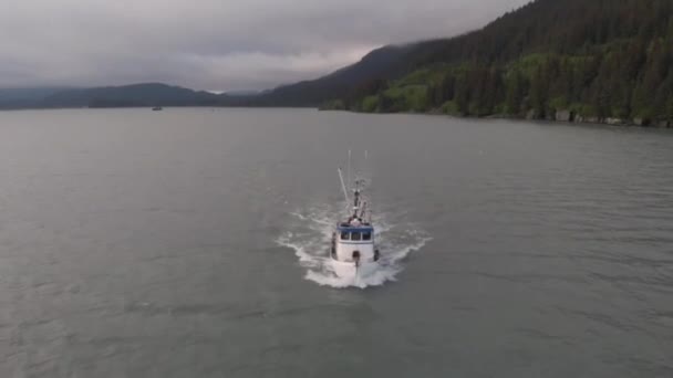 Barcos Pesca Comercial Los Terrenos Salmón Alaska — Vídeo de stock