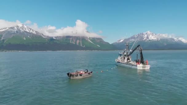 Комерційні Рибальські Човни Лососевих Підставах Аляски — стокове відео