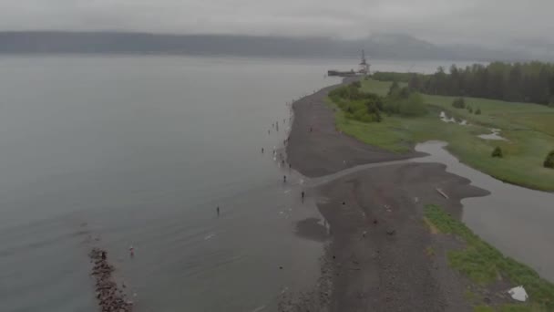 Alaskans Line Het Strand Verblijf Vissen Zalm — Stockvideo