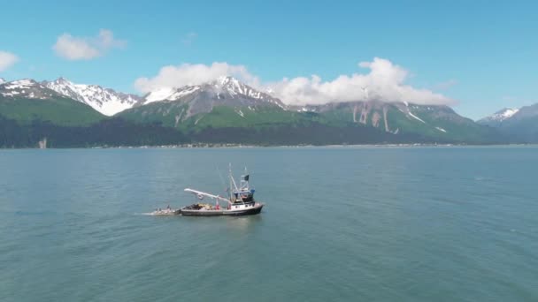 Bateaux Pêche Commerciale Dirigeant Vers Les Fonds Saumon Alaska — Video