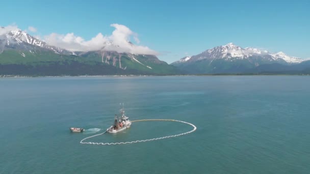 Pescadores Comerciales Lobos Marinos Compitiendo Por Salmón Alaska — Vídeos de Stock