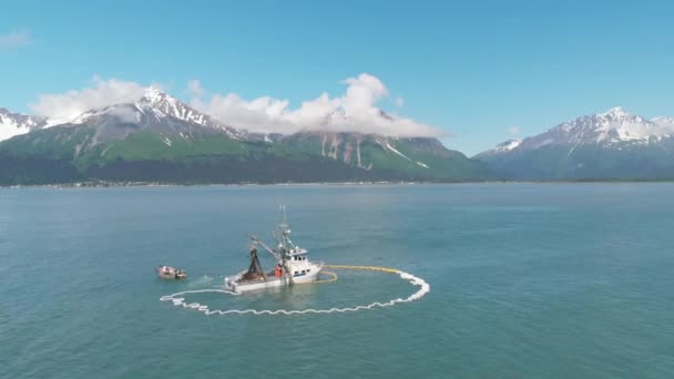 Commerciële Vissers Zeeleeuwen Strijden Voor Zalm Alaska — Stockvideo