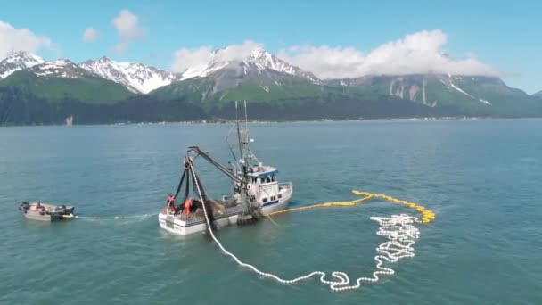 Pescadores Comerciales Lobos Marinos Compitiendo Por Salmón Alaska — Vídeos de Stock