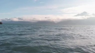 Diriliş Körfezi Alaska hareketli deniz 