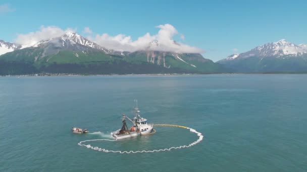 Pescadores Comerciales Lobos Marinos Compitiendo Por Salmón Alaska — Vídeo de stock