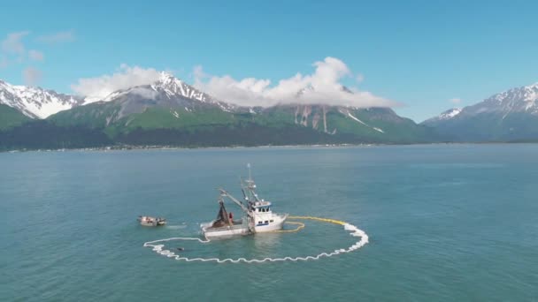 Pescadores Comerciales Lobos Marinos Compitiendo Por Salmón Alaska — Vídeos de Stock