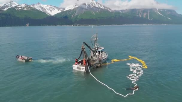 Pescadores Comerciales Lobos Marinos Compitiendo Por Salmón Alaska — Vídeos de Stock