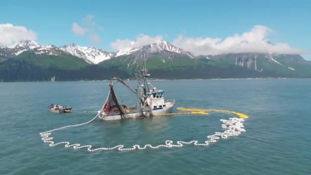 Rybacy Komercyjni Lwy Morskie Konkurują Łososie Alasce — Wideo stockowe