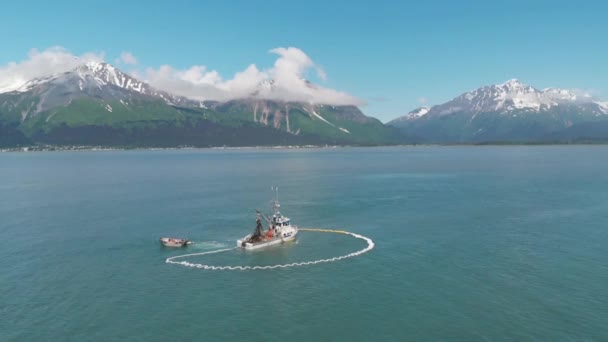 アラスカでサケを競う商業漁師とアシカ — ストック動画