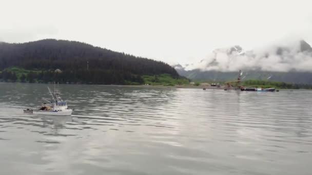 Commerciële Vissersboten Geleid Naar Zalm Gronden Van Alaska — Stockvideo