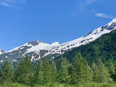 Stunning views of Portage glacier in Alaska  clipart