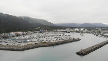 Alaska'dan yaz manzarası 